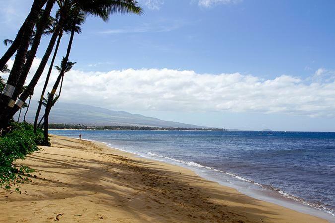 Kealia Resort 502 Kihei Εξωτερικό φωτογραφία